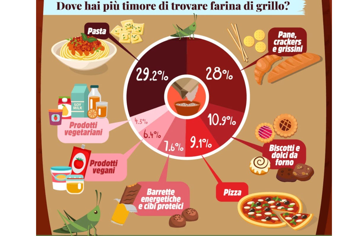 Il 72% degli italiani dice sì alla farina di grilli mille intervistati valgono un Paese?
